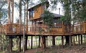 Casa na Árvore Morada dos Vagalumes