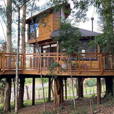 Casa na Árvore Morada dos Vagalumes Farroupilha Exterior foto